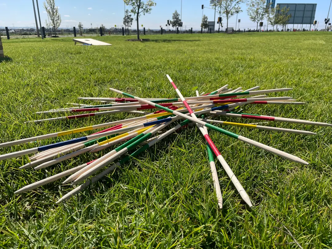 a group of wooden sticks on grass