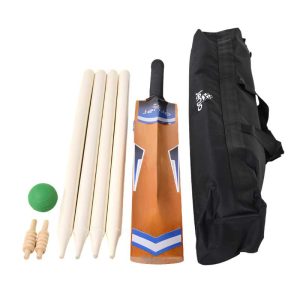 wooden cricket bat next to bag and stumps