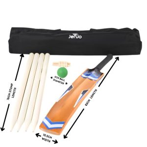 cricket bat next to stumps and black carry bag